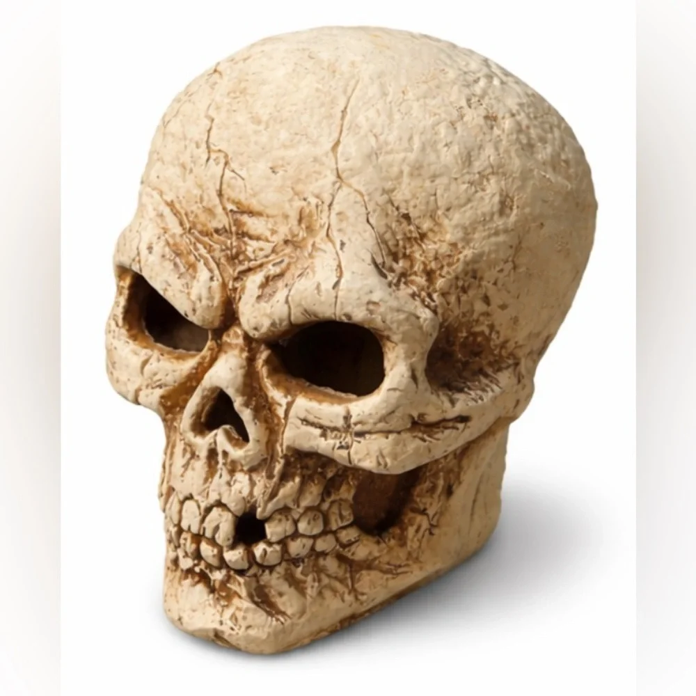 11” Light-Up Skull Decoration LED Gothic Halloween Prop Realistic Skull Statue